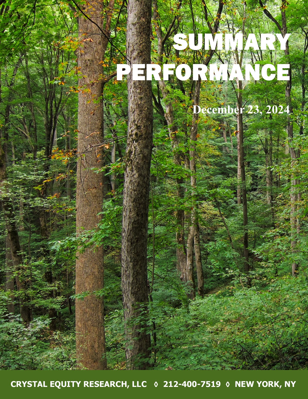 Summary Performance - Cover Page